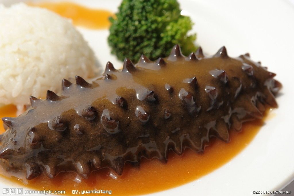 魚蓉海參 魚蓉海參