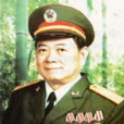 林溪石 林溪石