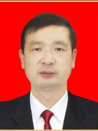 夏清(湖北省黃岡市浠水縣人民政府副縣長) 夏清(湖北省黃岡市浠水縣人民政府副縣長)