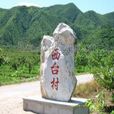 西台村(山東省寧陽縣堽城鎮西台村) 西台村(山東省寧陽縣堽城鎮西台村)