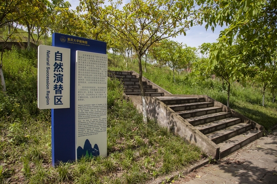 重慶大學植物園