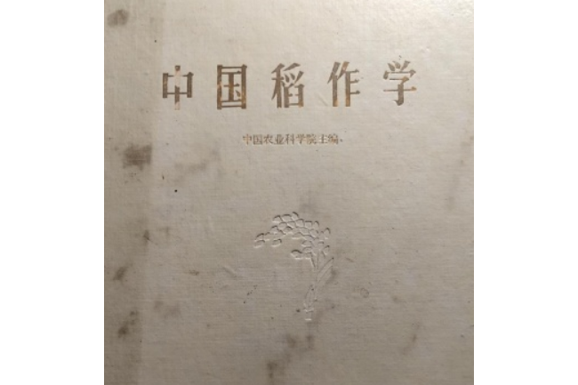 中國稻作 中國稻作