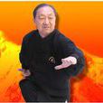 周金生(青海崑崙派掌門) 周金生(青海崑崙派掌門)