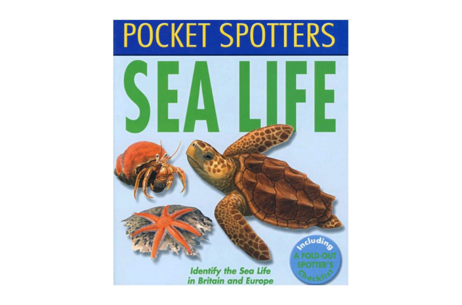 Pocket Spotters sea Life海洋生物