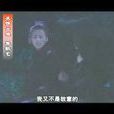 雌雄雙俠 雌雄雙俠
