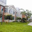 西王村(河北省威縣侯貫鎮所轄) 西王村(河北省威縣侯貫鎮所轄)