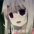 周磊的早晨 周磊的早晨