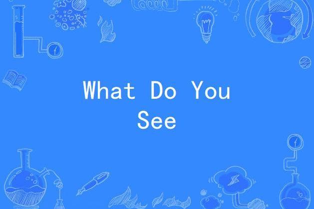 What Do You See What Do You See
