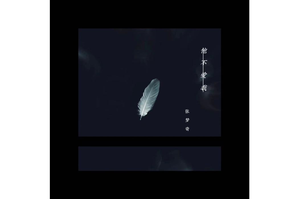 他不愛我(張夢奇創作的音樂) 他不愛我(張夢奇創作的音樂)