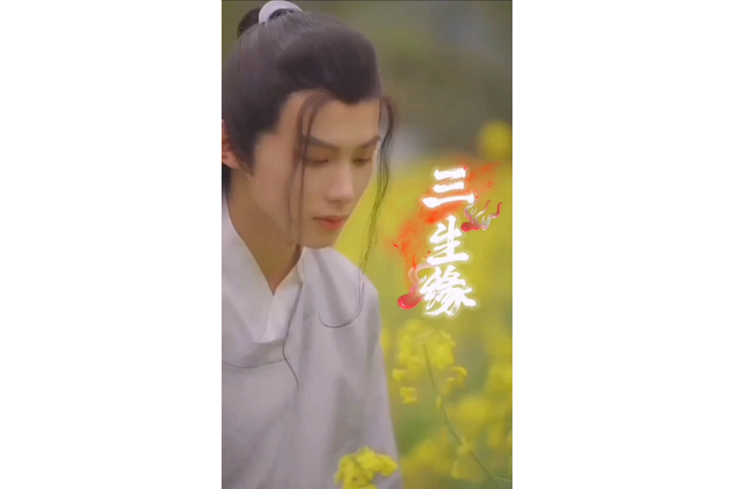三生緣(小說) 三生緣(小說)