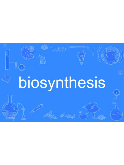 biosynthesis biosynthesis