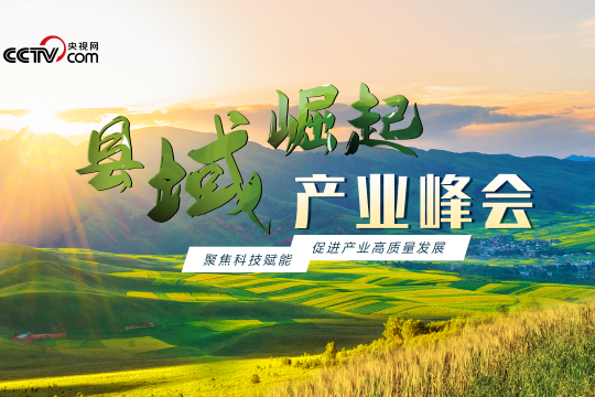 縣域崛起 縣域崛起