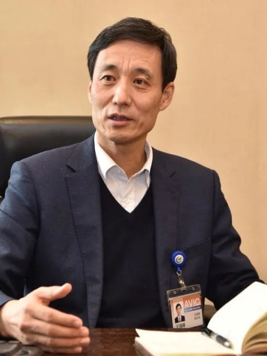 王海峰(戰鬥機設計領域專家)