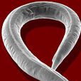 秀麗隱桿線蟲(Caenorhabditis elegans) 秀麗隱桿線蟲(Caenorhabditis elegans)