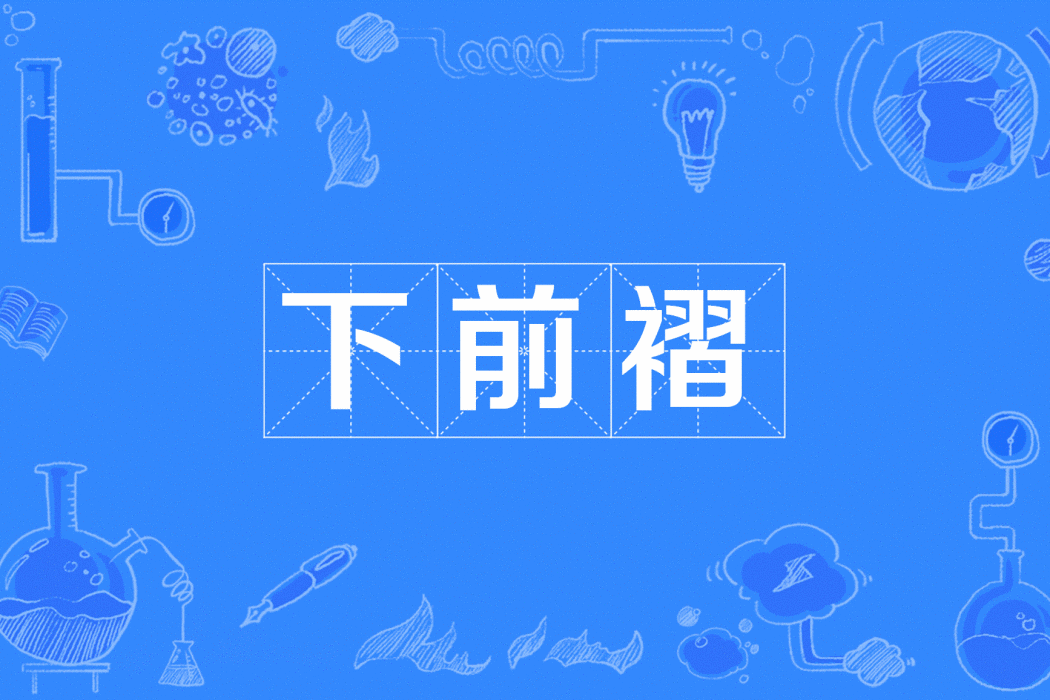 下前褶 下前褶