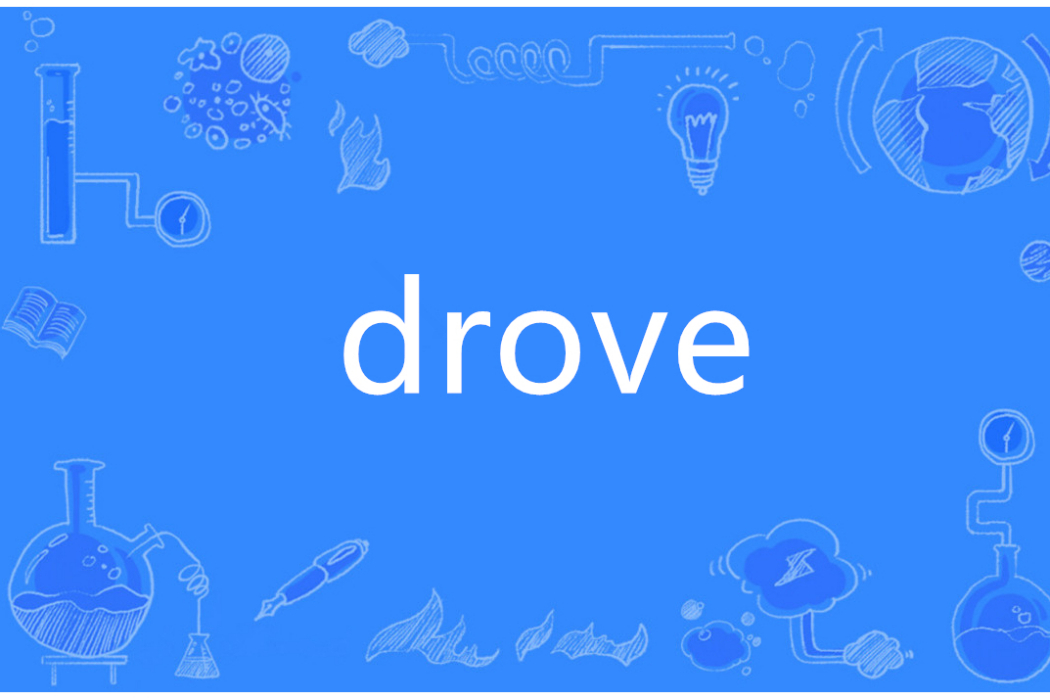 Drove(英語單詞) Drove(英語單詞)
