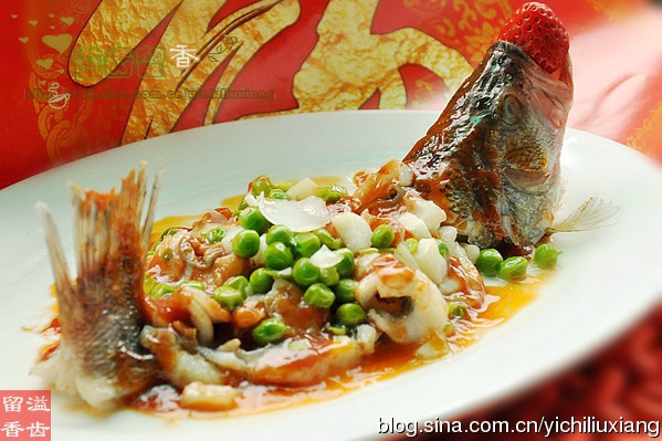 五彩鱸魚 五彩鱸魚