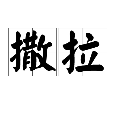 撒拉(中文詞語)