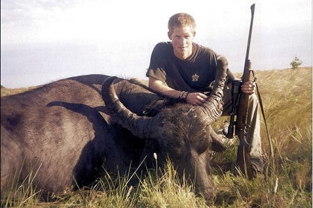 哈里王子獵殺水牛照片