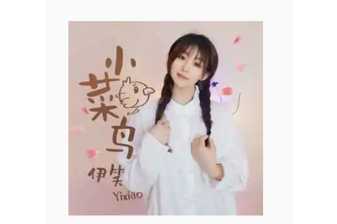 小菜鳥(伊笑演唱的歌曲) 小菜鳥(伊笑演唱的歌曲)