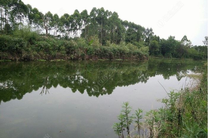 東響水河 東響水河