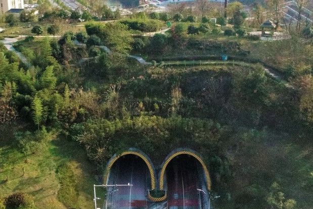 廟嶺隧道(湖北省宜昌市五峰土家族自治縣隧道) 廟嶺隧道(湖北省宜昌市五峰土家族自治縣隧道)