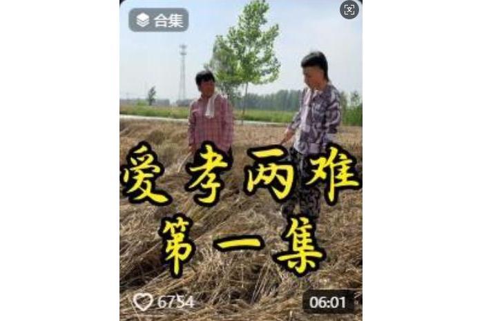 愛孝兩難 愛孝兩難