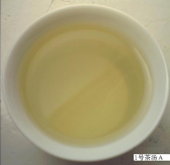 蒼南翠龍 蒼南翠龍