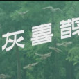 灰喜鵲(2008年徐真執導的科教影片) 灰喜鵲(2008年徐真執導的科教影片)