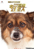 營救汪星人