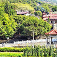 龍池岩