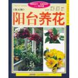 陽台養花 陽台養花