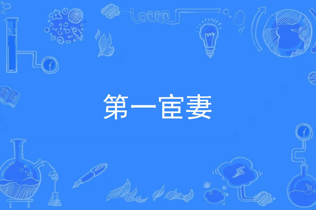 第一宦妻 第一宦妻