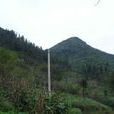 芭蕉沖村(雲南西疇縣法斗鄉下轄村) 芭蕉沖村(雲南西疇縣法斗鄉下轄村)