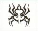 蜘蛛種紋身