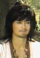 揮劍問情(1986年詹龍執導電視劇)