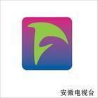 安徽電視台logo