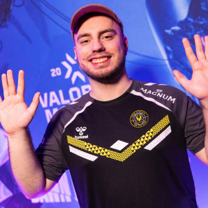 Team Vitality(vitality(歐洲電子競技俱樂部)) Team Vitality(vitality(歐洲電子競技俱樂部))