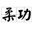 柔功 柔功