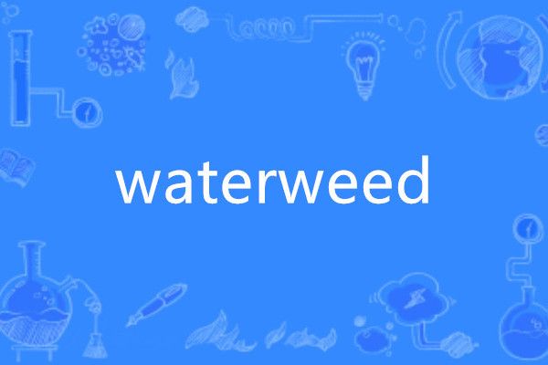 waterweed waterweed