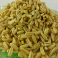 晉燕15號 晉燕15號