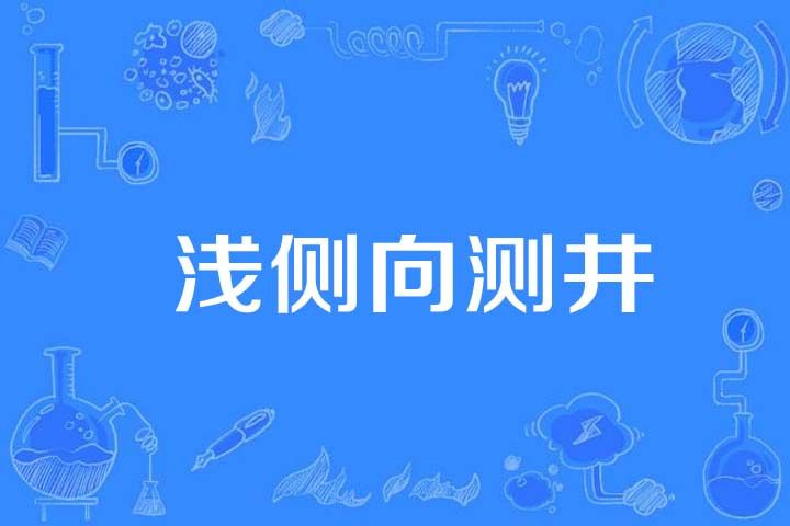淺側向測井 淺側向測井