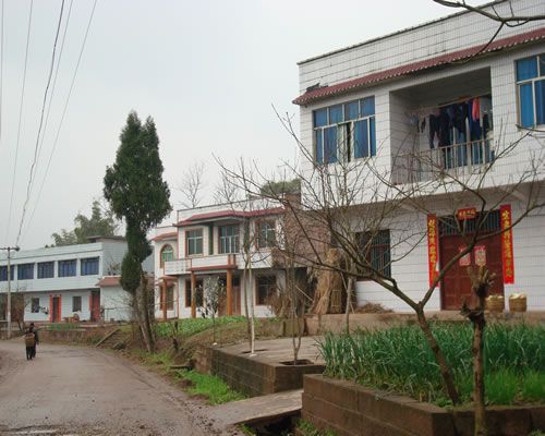 茶盤寺社區 茶盤寺社區