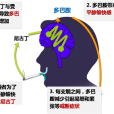 尼古丁受體 尼古丁受體