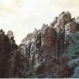 嶗山巨峰 嶗山巨峰