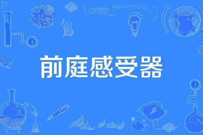 前庭感受器 前庭感受器