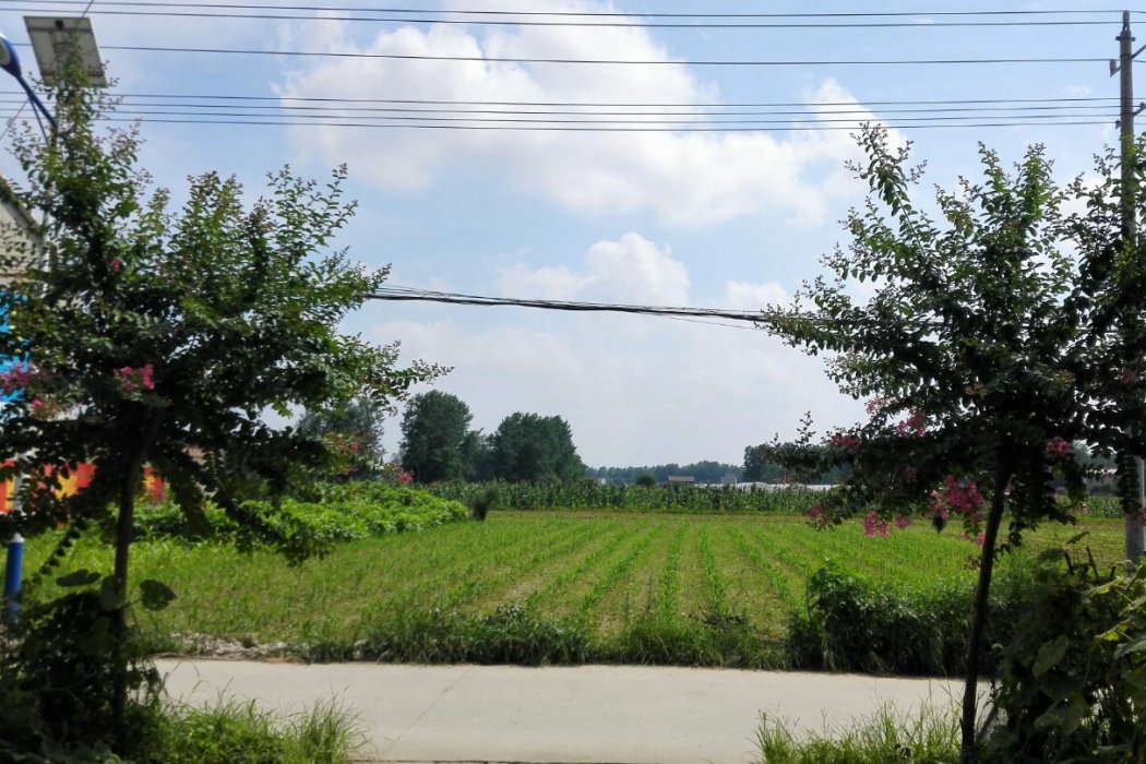 施灘村 施灘村