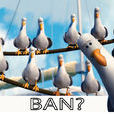 ban(英文單詞) ban(英文單詞)
