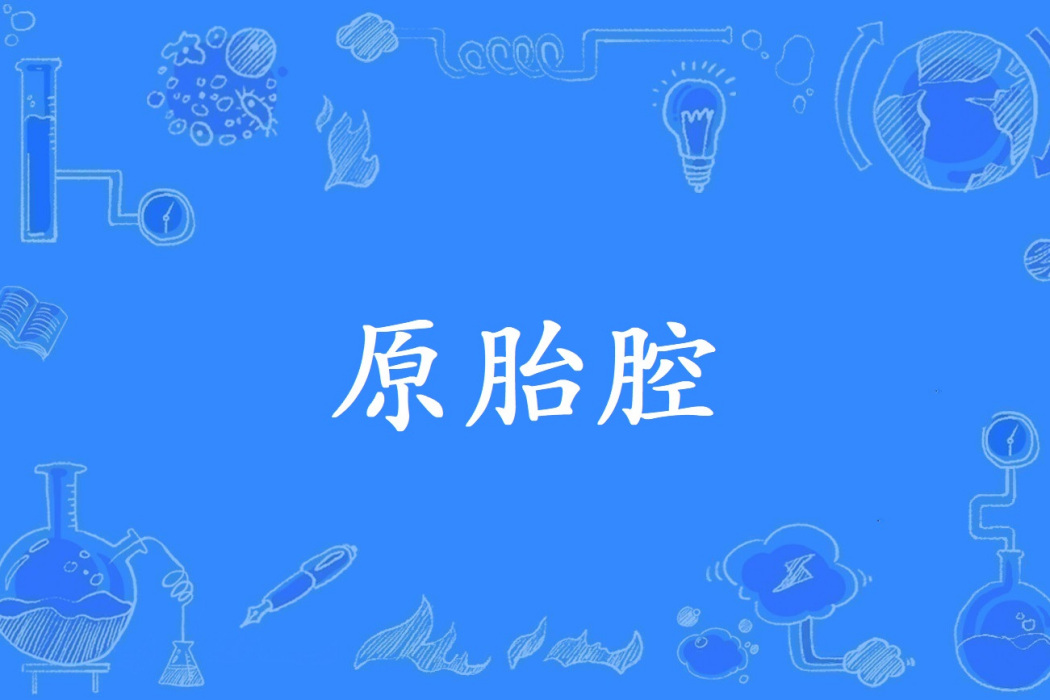 原胎腔 原胎腔