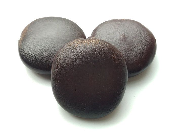 陰陽子 陰陽子